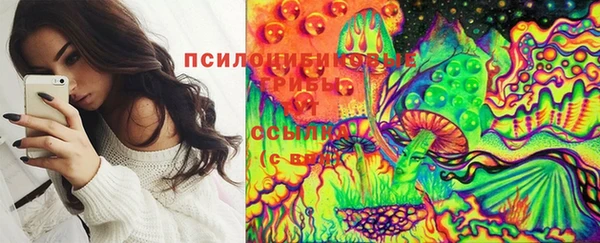 прущая мука Краснослободск