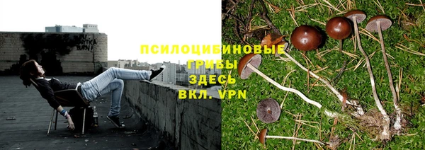 марки lsd Краснотурьинск
