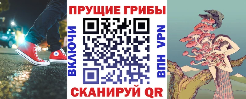 Псилоцибиновые грибы GOLDEN TEACHER  Нижний Новгород 