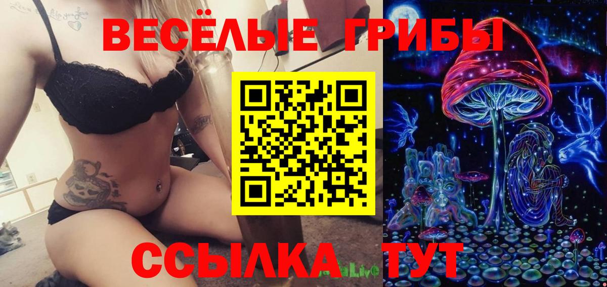 Псилоцибиновые грибы Cubensis  Вход с VPN  Нижний Новгород  Галлюциногенные грибы MAGIC MUSHROOMS 