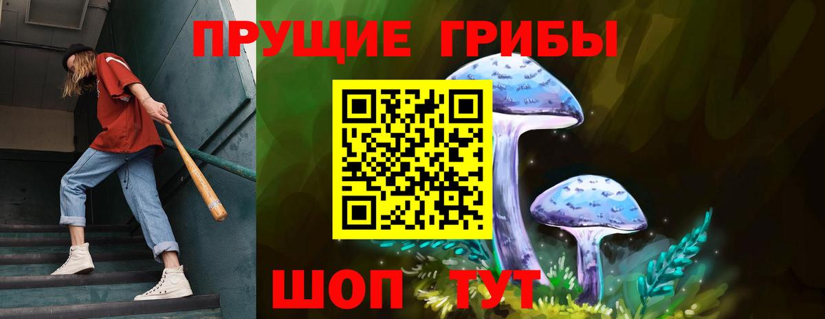 Псилоцибиновые грибы Psilocybe Нижний Новгород
