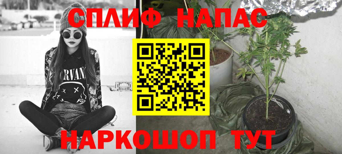 Шишки марихуана White Widow Нижний Новгород